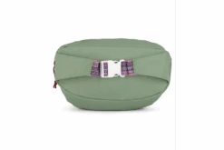 Jansport Restore Waistpack -JanSport Backpacks Sales 7cc935 6361c2b1d2e345c5a8515bc1f7d450c1mv2