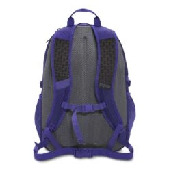 JanSport Agave 32L Backpack - Women's|-|Sac à Dos Agave 32L Femme 31 JanSport Agave 32L Backpack - Women's|-|Sac à Dos Agave 32L Femme -JanSport Backpacks Sales JSP JS00T70L 7EViolet 20Purple 7EBack